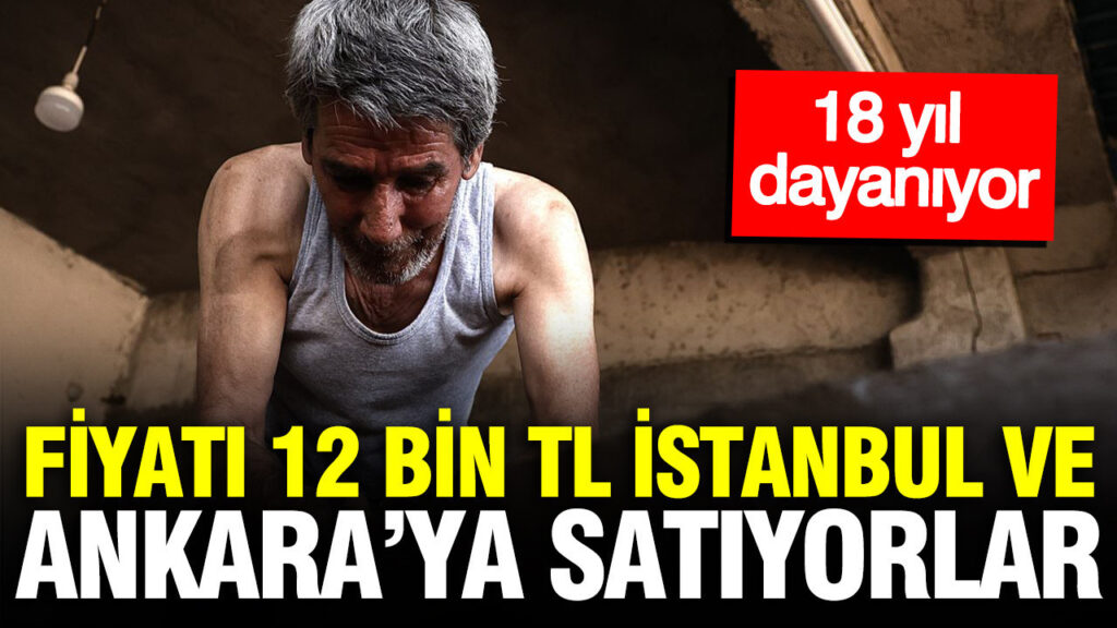 Fiyatı 12 bin TL, İstanbul ve Ankara’ya satıyorlar: 18 yıl dayanıyor