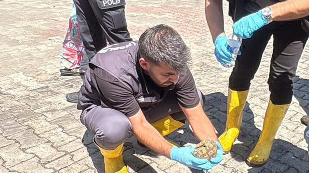 Yangının ortasında mucize kurtarış: Ekipler o canı alevlerin arasında aldı